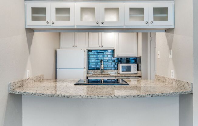 Modern One Bedroom Apartment in North Oak Lawn!