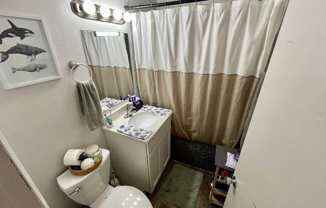 3 beds, 1 bath, $1,625, Unit 308