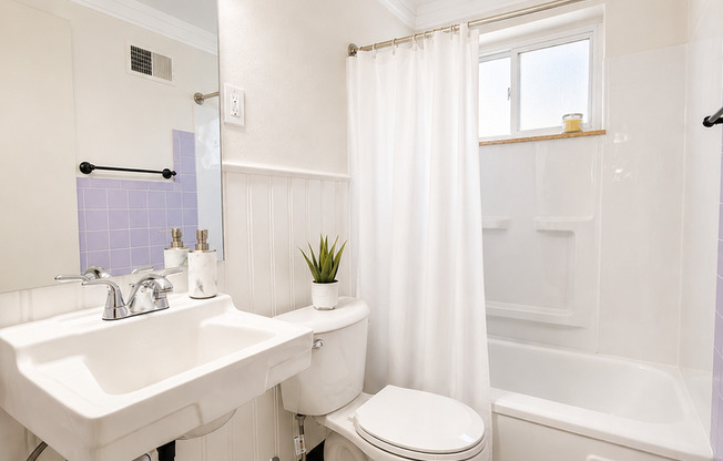 1 bed, 1 bath, 650 sqft, $950, Unit 2819-B