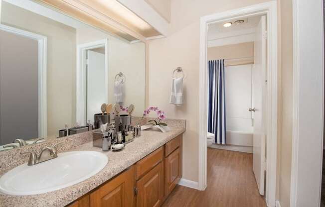 a bathroom with a sink and a mirror