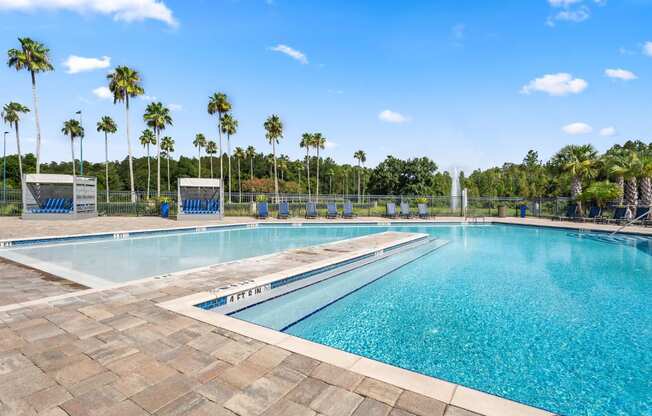 A large outdoor swimming pool surrounded by palm trees.
