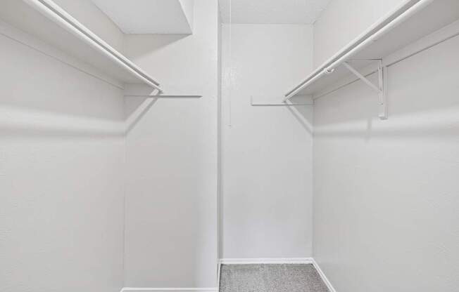 A white closet with a grey carpet.