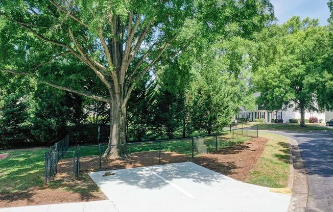 Walking Path at Timberstone, Charlotte, NC