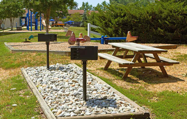 Picnic and Grill Area