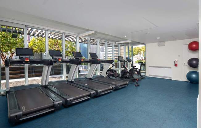 A gym with treadmills and exercise balls.