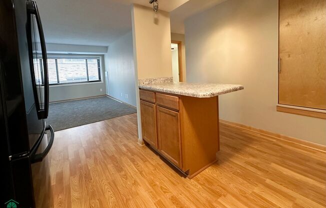 Updated 1 Bedroom Condo *Free September Rent with a September 2024 Move In**