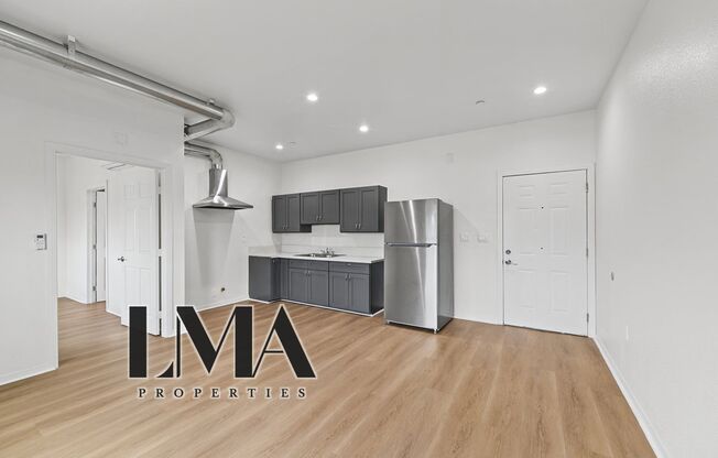 Studio, 1 bath, 500 sqft, $1,238, Unit 206