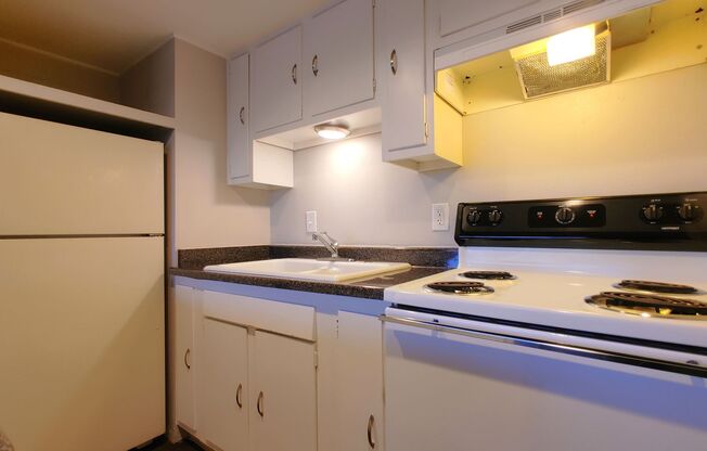 1 bed, 1 bath, 584 sqft, $835, Unit Unit 307