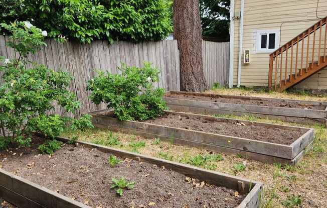 Cozy 1 bed 1 bath Near Park and Olympic College