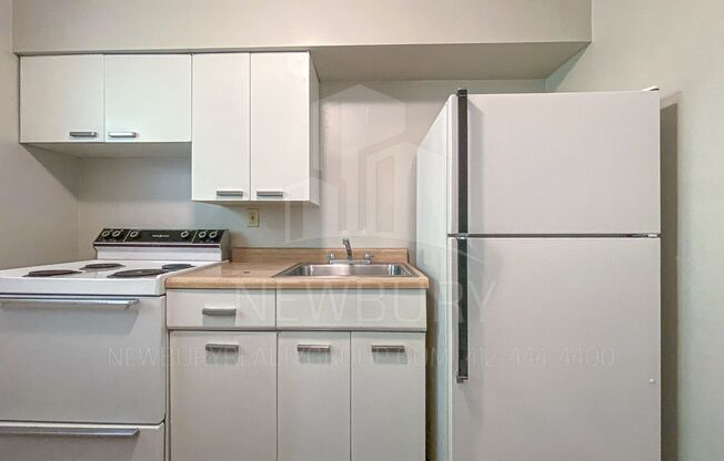 1 bed, 1 bath, 520 sqft, $699, Unit 309-06