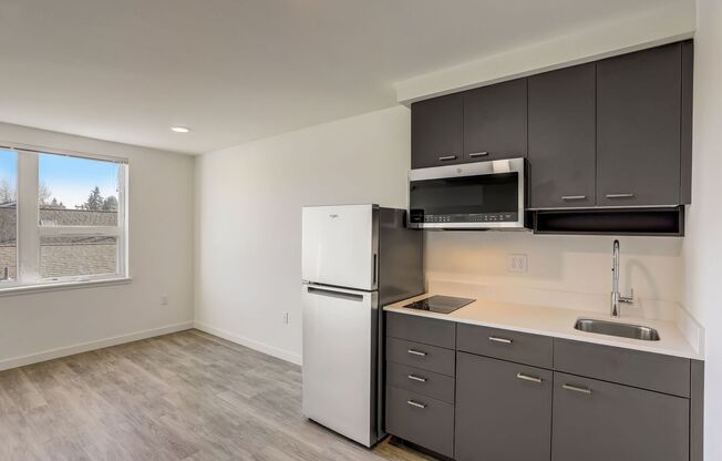 Studio, 1 bath, 252 sqft, $1,180, Unit 202