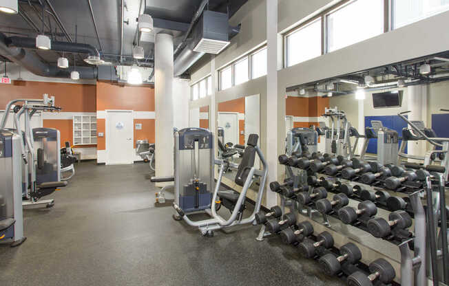 Fitness Center with Cardio and Weights