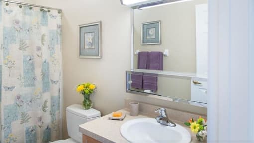 Full bathroom with shower/tub combo