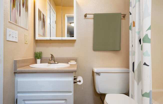 a bathroom with a toilet sink and mirror and a shower curtain