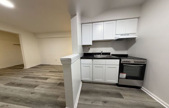 Studio, 1 bath, 295 sqft, $925, Unit B4