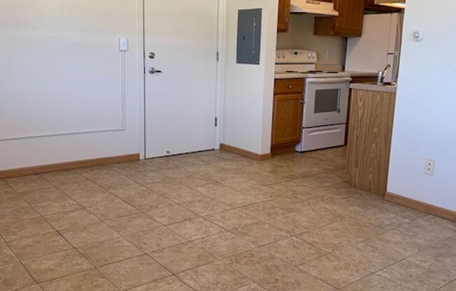 1 bed, 1 bath, 500 sqft, $925, Unit 3715-206