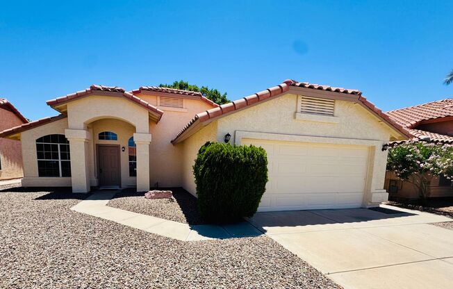 Beautiful & Cozy Chandler Home!