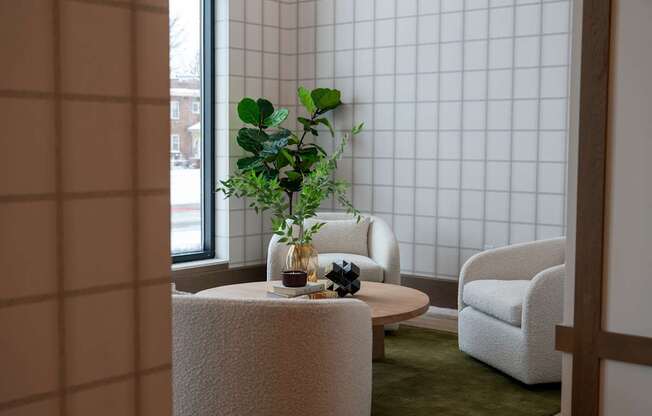 A potted plant sits on a table in a room with a tiled wall.