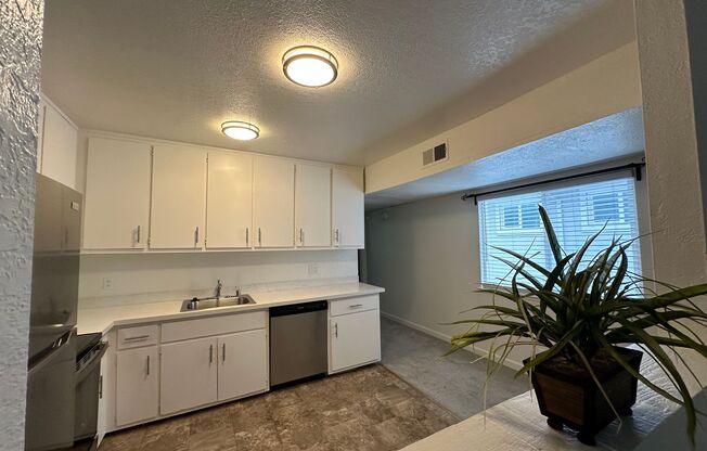 1 bed, 1 bath, $1,695, Unit 4