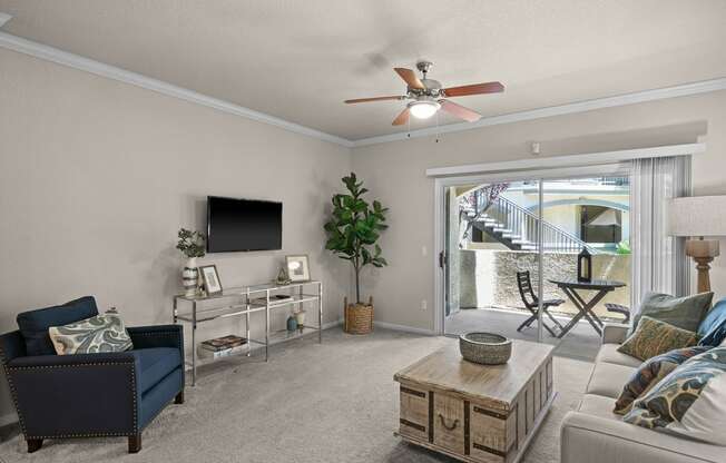 Spacious living rooms - Willow Spring Apartments