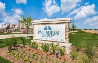 Palladium Crowley