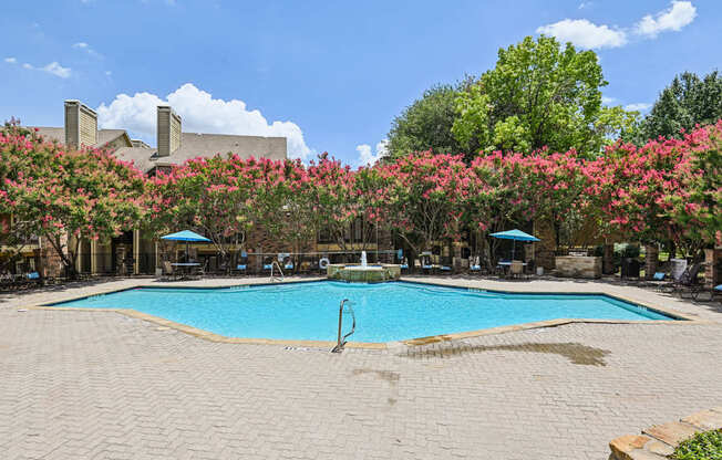 A swimming pool surrounded by pink flowering trees.