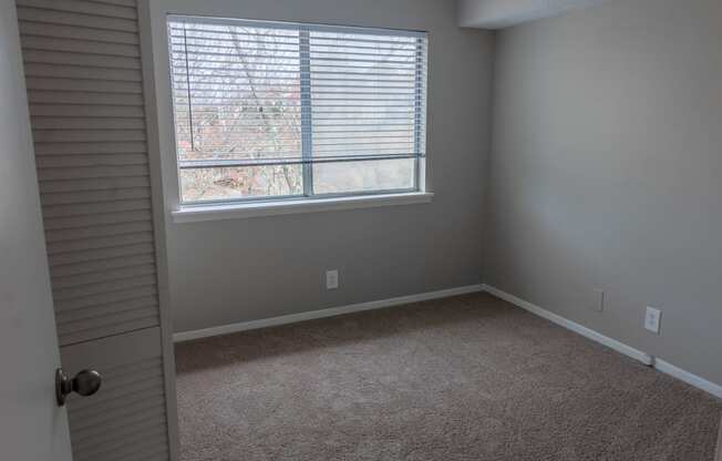 an empty room with a window and carpet