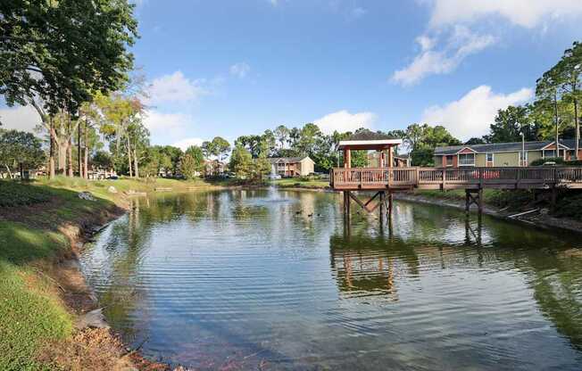 Community Pond