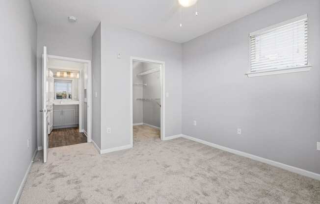 a bedroom with gray walls and carpet