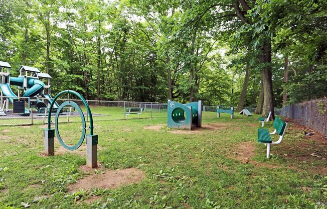 Dog Park
