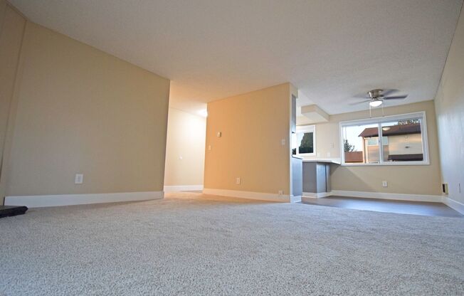 Newly Renovated 2 Bed 1 BA Single Level Apt!