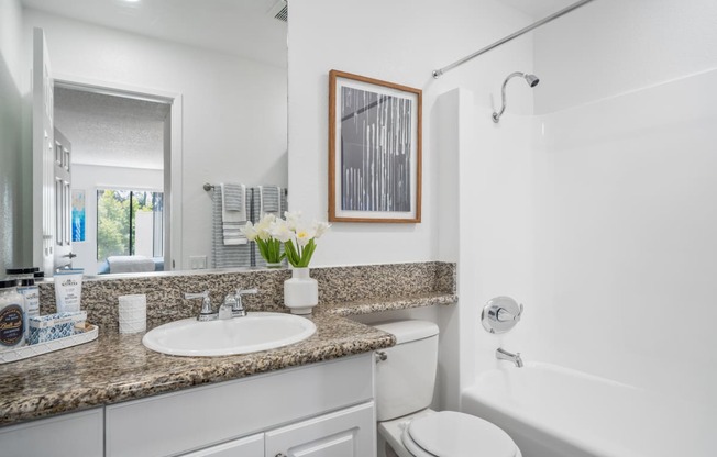 our apartments offer a bathroom with a bathtub