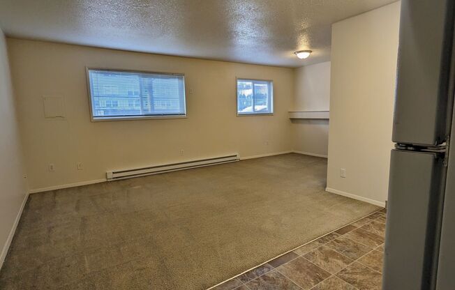 Studio, 1 bath, 350 sqft, $1,025, Unit 105