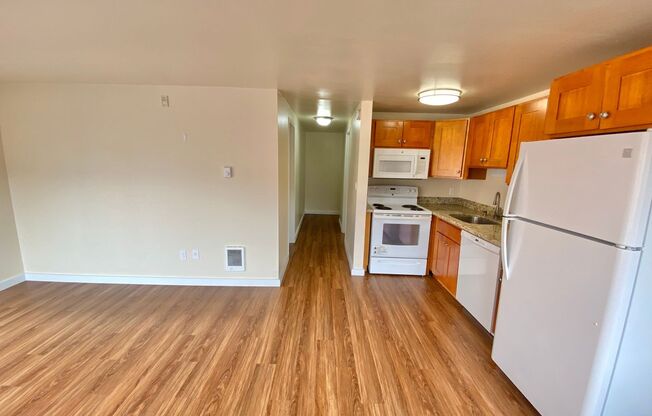 1 bed, 1 bath, 495 sqft, $1,495, Unit 302