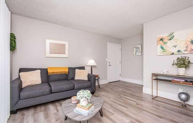 1 bed, 1 bath, 592 sqft, $1,570