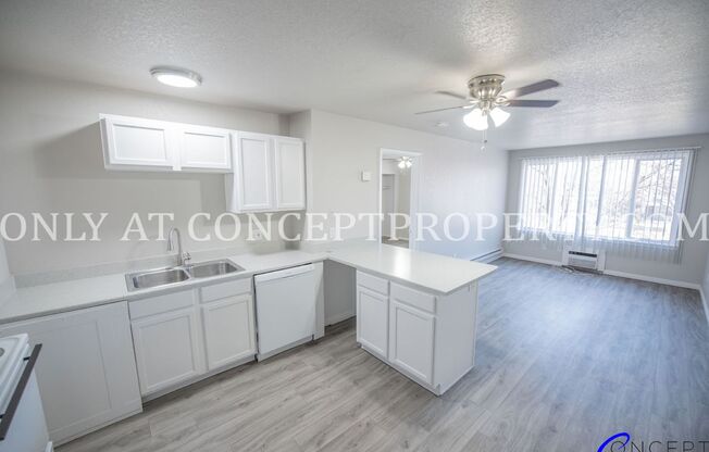 1 bed, 1 bath, 650 sqft, $999, Unit 1B