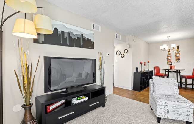 our apartments offer a living room with a flat screen tv