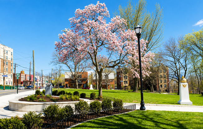 491-5 Garfield Avenue