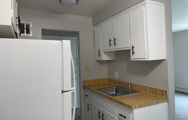 1 bed, 1 bath, 450 sqft, $795, Unit X303