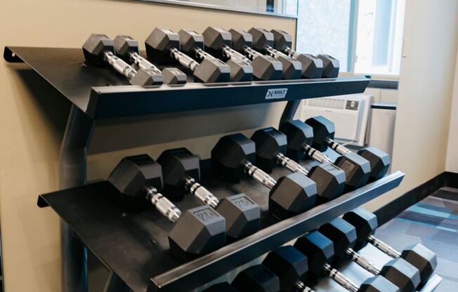 1 bed, 1 bath, 730 sqft, $1,329, Unit 113