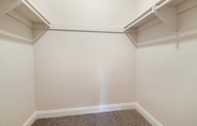 A white closet with a carpeted floor.