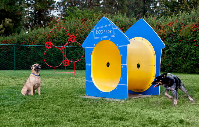 Whimsical Pig Apartments Dogs Playing in Dog Park