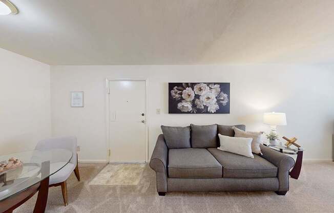Welcome to Apollo Apartments