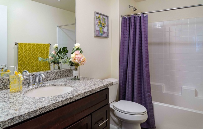 bathroom with shower-tub combo at Turtle Creek apartments