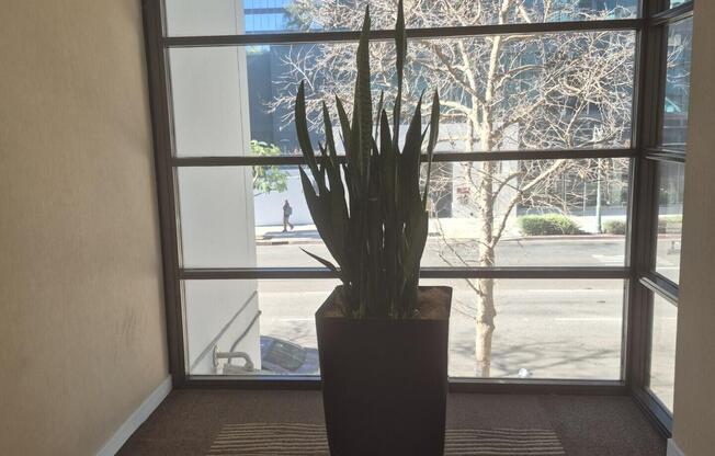 2 beds, 2 baths, 1,264 sqft, $3,100, Unit 207