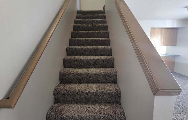 Welcome to Lassam Terrace Apartments