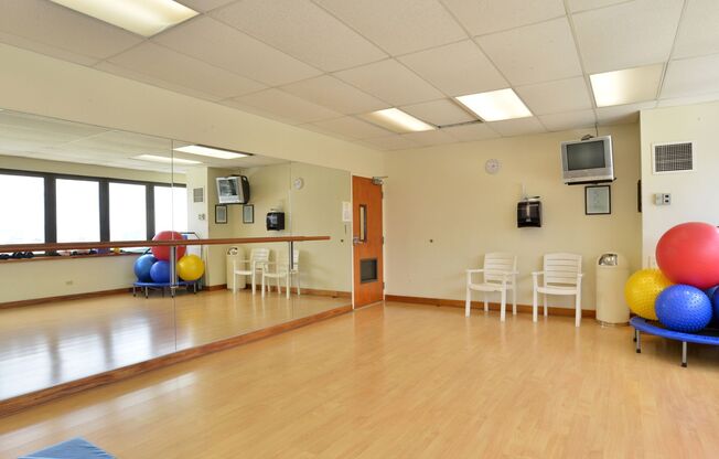 1 bed, 1 bath, $2,700, Unit APARTMENT 3108