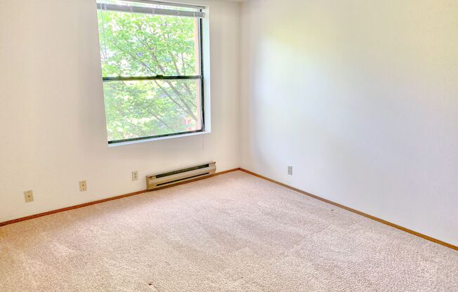 1 bed, 1 bath, 514 sqft, $1,495, Unit 304