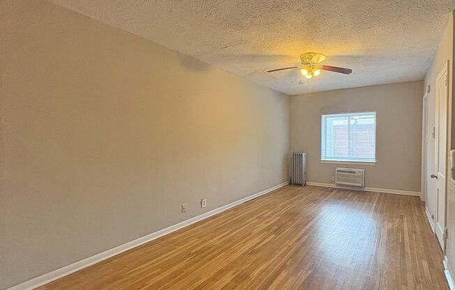 Studio, 1 bath, 300 sqft, $695, Unit 3405-205