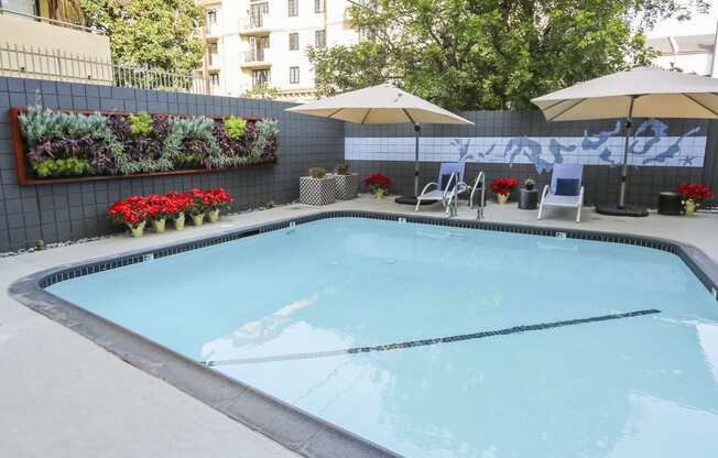 Swimming Pool & Shades at Westwood Riviera Apartments, Los Angeles, California